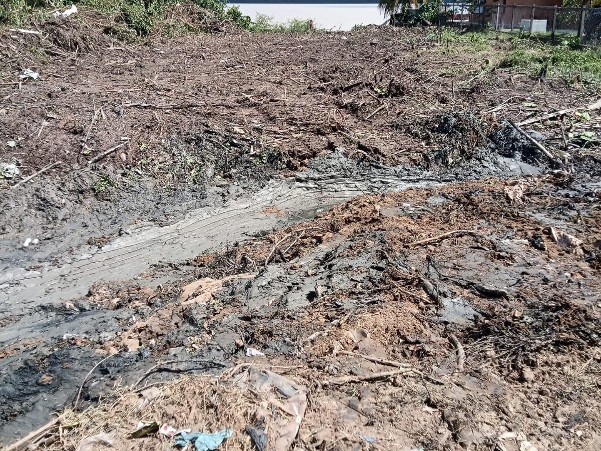Site clearing and land preparation